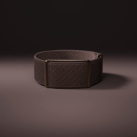Фитнес-браслет Polar Loop Brown Copper S-L